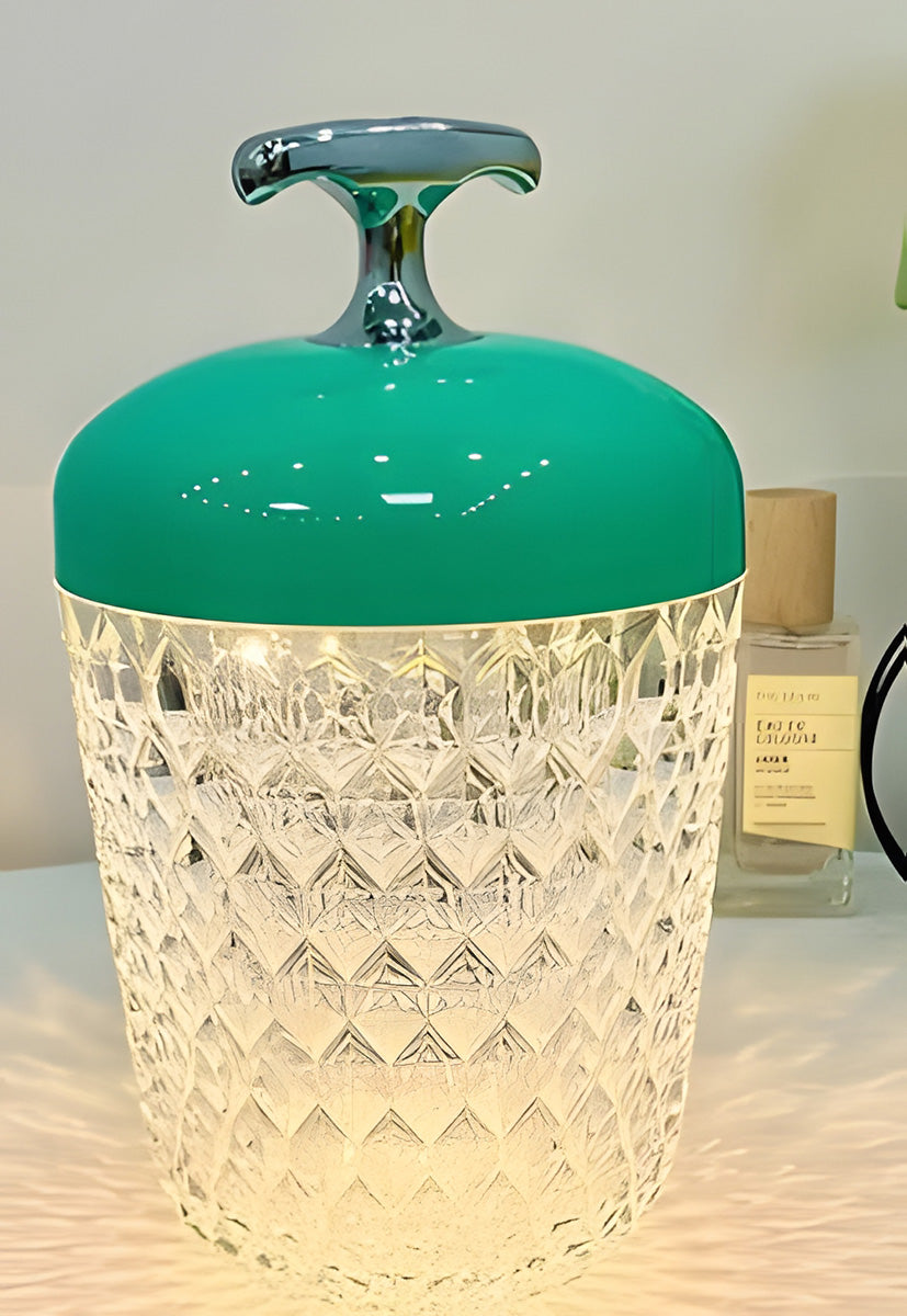 (A pair)16 Colors Acorn Cordless Lamp,Touch Control Table Lamp with Remote Romantic Atmosphere