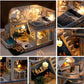 DIY Miniature House Kits,Tiny House Pet Shop with Furniture & LED, Home Decor